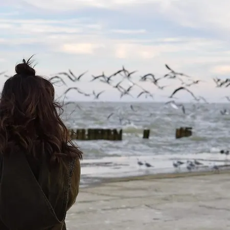 White Pearl 3.09 Apartment *