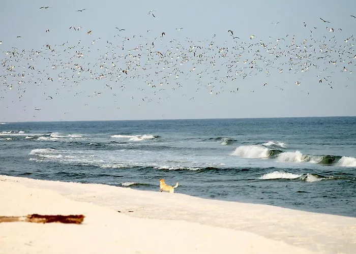 White Pearl 3.09 Timmendorfer Strand