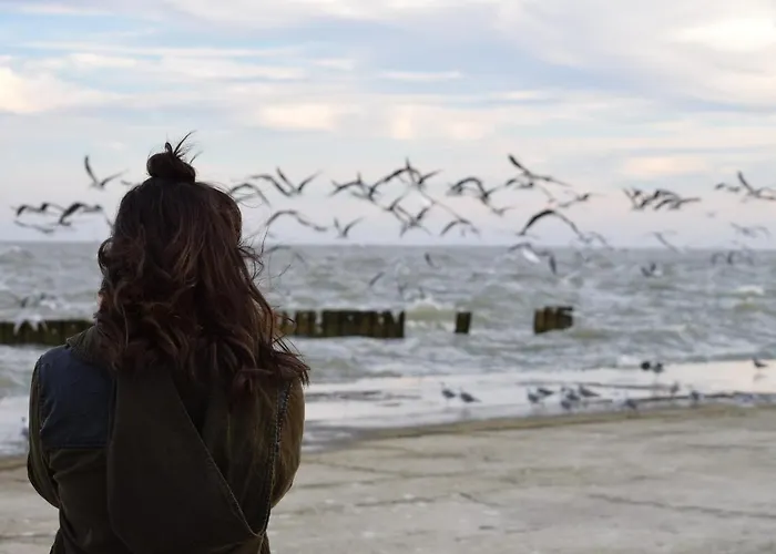 White Pearl 3.09 Apartman *